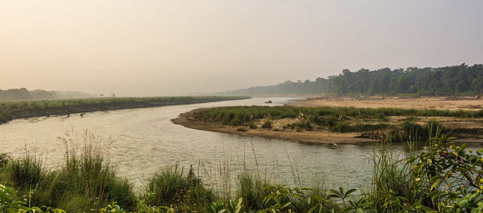 Chitwan Birdwatching Tour